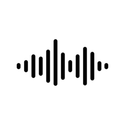 Codec Icon