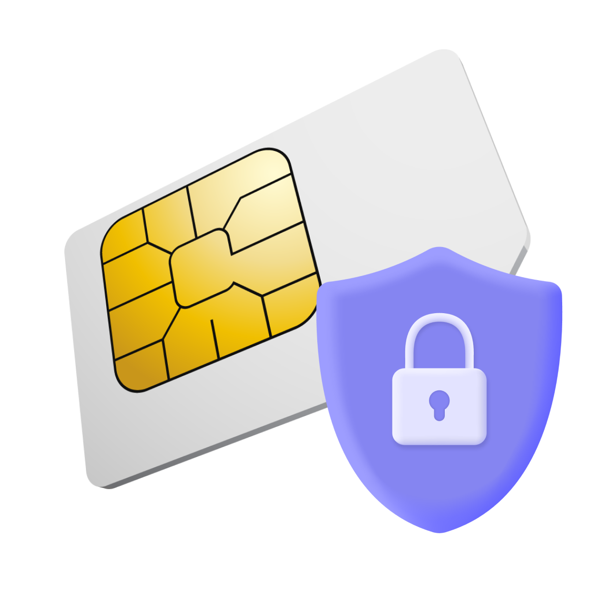 SIM Protection Icon